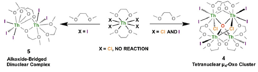 The tetranuclear μ4-oxo complex 