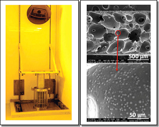 The Gamma Irradiation 