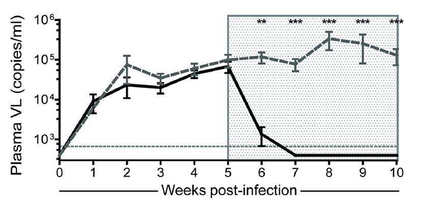 Antiretroviral therapy 