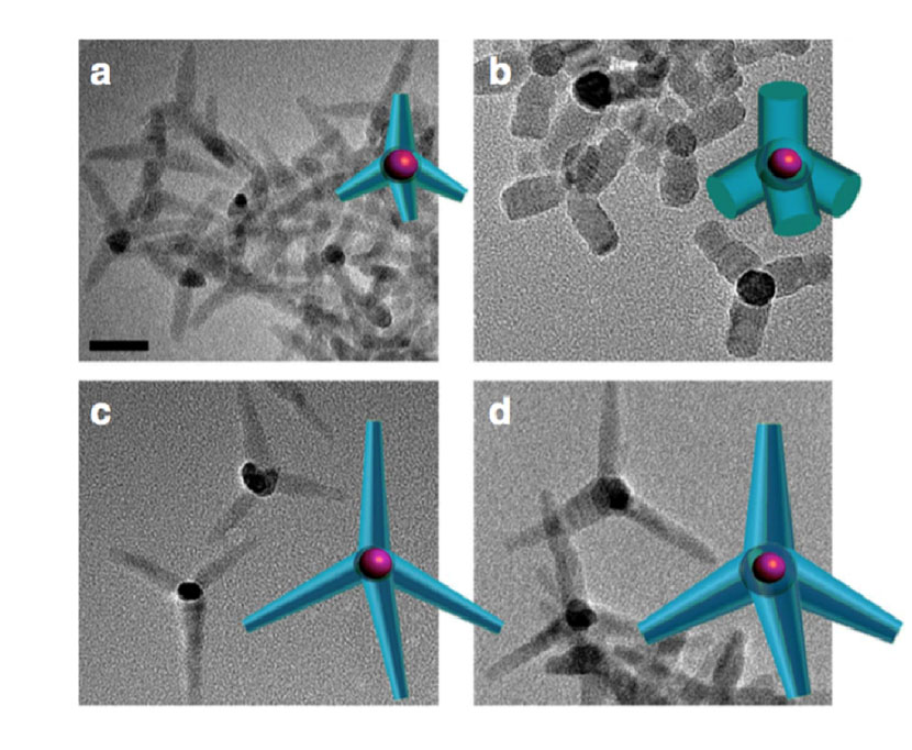 Electron microscopy 