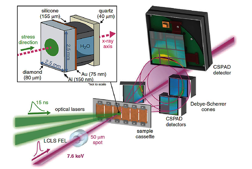 Schematic of the Matter 