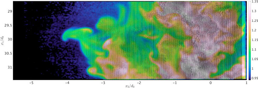 density and velocity fields