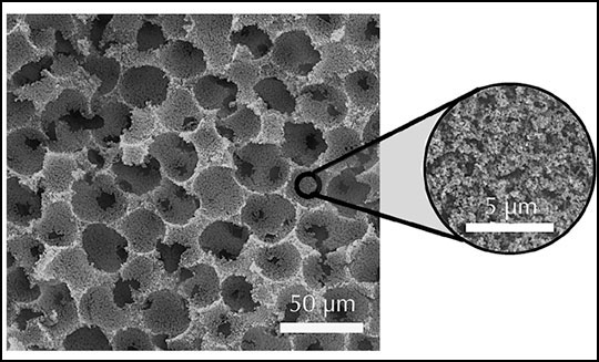 Scanning electron microscopy (SEM) image of a hierarchical DVB foam