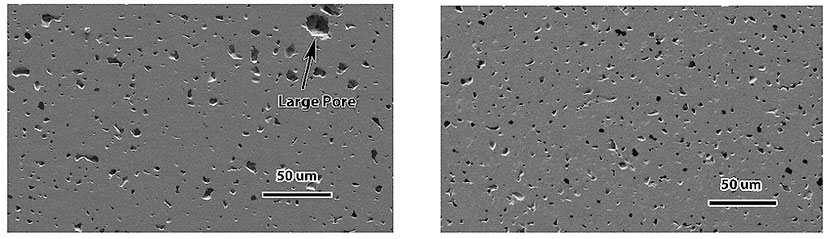 scanning electron micrograph